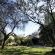 Sunbird Lodge