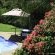 Tranquil garden