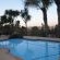 The Pool Area