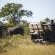 Game drive