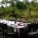 Bush breakfast
