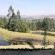 Arum Hill Lodge