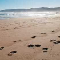 Beach Villa Wilderness