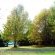Maclear Manor
