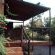 Olive Tree Farm B&B