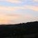 Olive Tree Farm B&B
