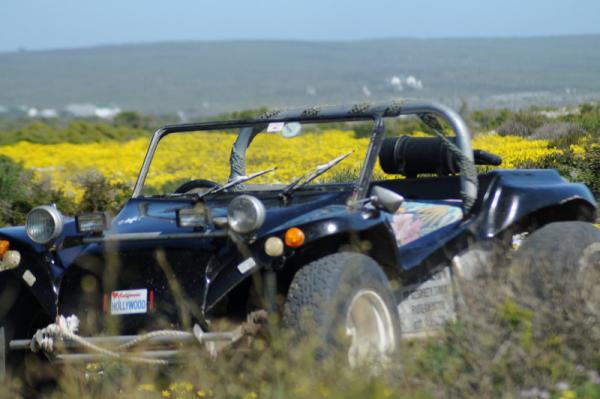 Beach Buggy Trip
