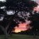 Amazing Sunsets