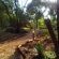 Romantic Forest walk