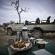 Game drive