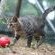 African Wildcat