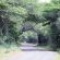 Road
