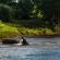 Hippos