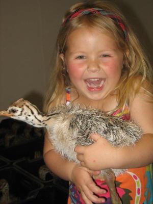 Highgate Ostrich Show Farm - Oudtshoorn