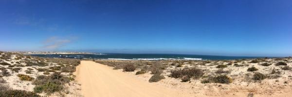 The Bay
