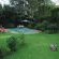 Fifteen on Orange...large garden and pool