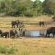 View from the hide onto the waterhole
