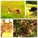 Sightings On A Game Drive