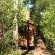 Fern Gully