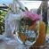 Sea Whisper Self Catering