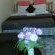 premier room