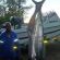 Deep sea fishing
