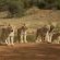 Ukutula Lodge