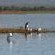 Shayamoya Tiger Fishing and Game Lodge