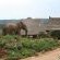 Pumba Private Game Reserve and Spa