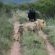 Pumba Private Game Reserve and Spa