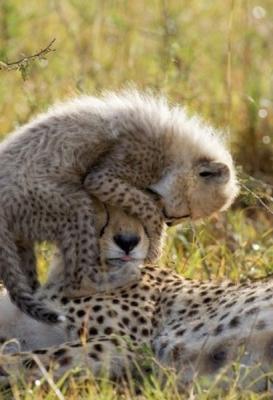 Pumba Private Game Reserve and Spa