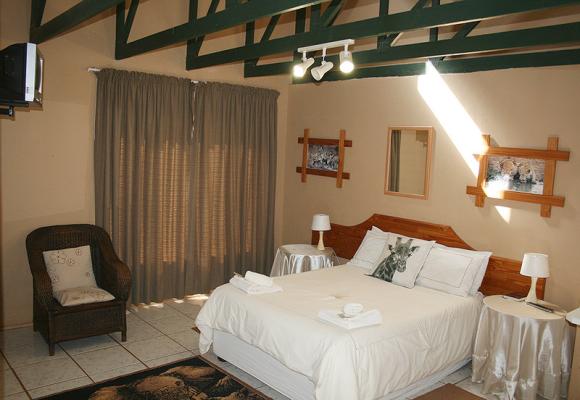 Room 5