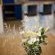 Flower arrangement