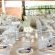 Wedding Venue