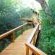 Lion Tree Top Lodge