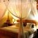 Lion Tree Top Lodge
