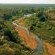 Singita Game Reserves