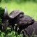 Singita Game Reserves