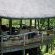 Buffalo Ridge Safari Lodge