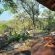 Buffalo Ridge Safari Lodge