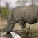 Singita Game Reserves