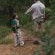Thornybush Game Lodge