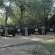 Thornybush Game Lodge
