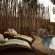 Thornybush Game Lodge