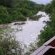 Thornybush Game Lodge