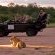 Simbambili Game Lodge