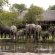 Simbambili Game Lodge