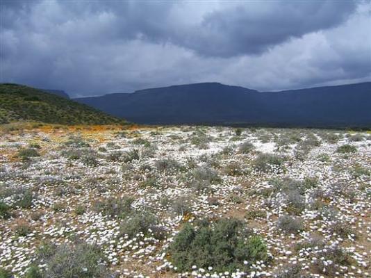 Namaqua National Park