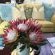 Hermanus Boutique Guesthouse