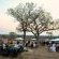 Londolozi Game Reserve